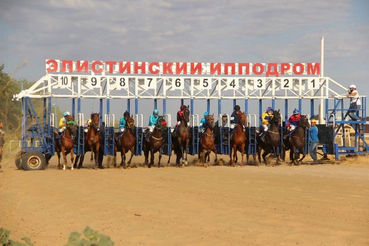 Элистинский ипподром