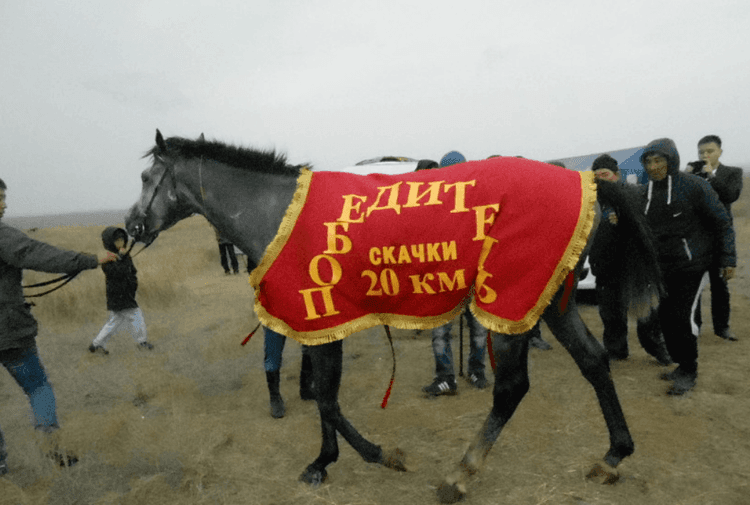 Конный клуб пос. Ики-Бурул