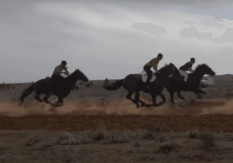 КСК «Юность» пос. Большой Царын, Республика Калмыкия